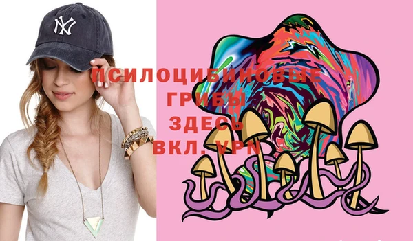 дживик Михайлов